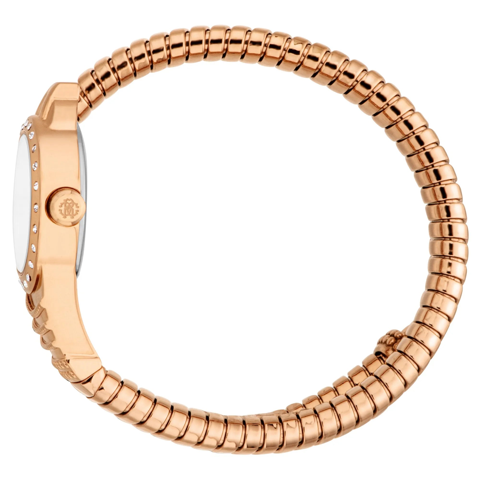 Roberto Cavalli Roberto Cavalli Lady RC5L114M0055 — immagine 3