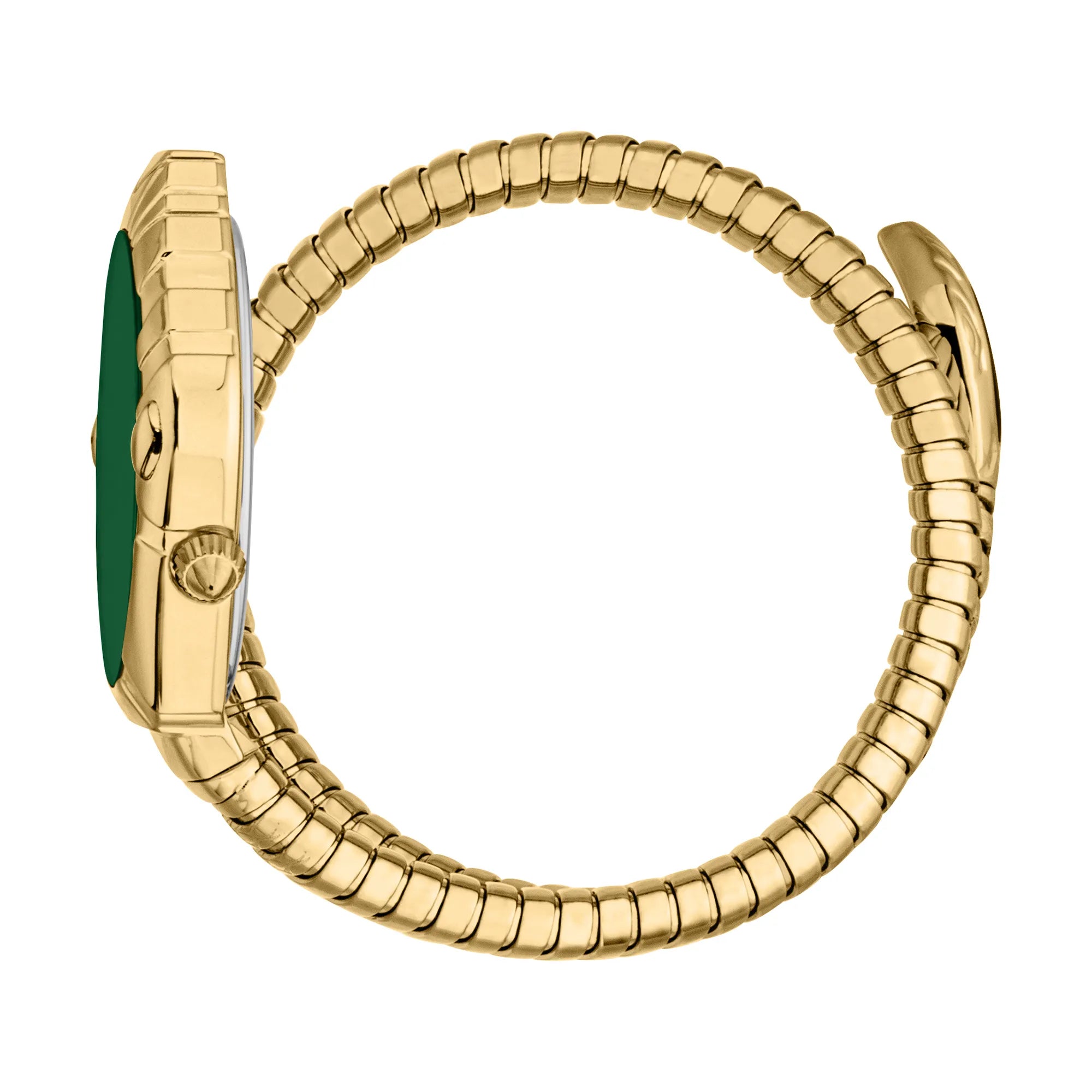 Just Cavalli Just Cavalli Signature Snake Lirica Yellow Gold Green — immagine 3