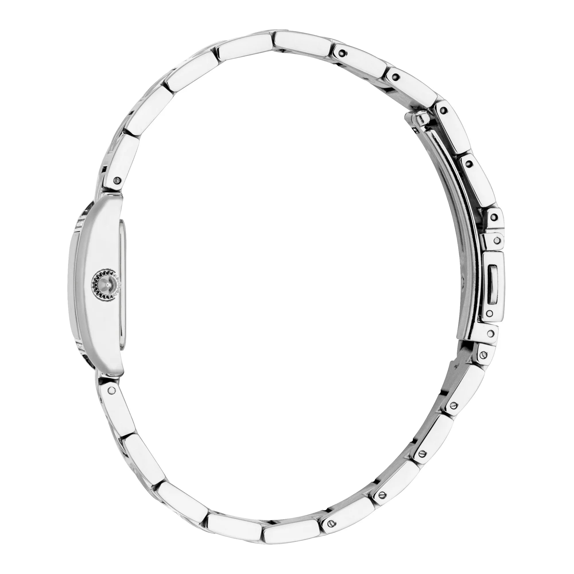 Just Cavalli Just Cavalli Animalier Sera Silver Black — immagine 3