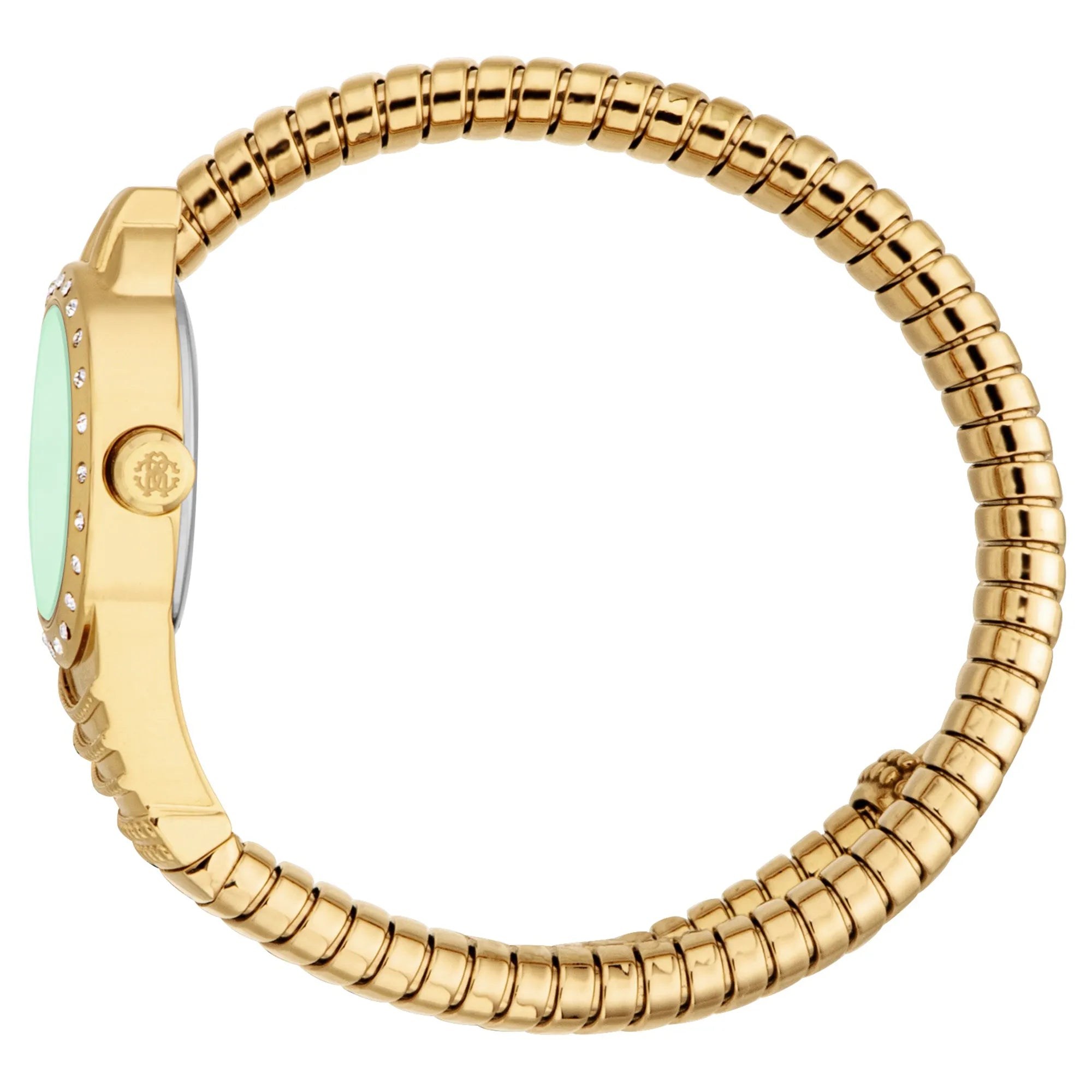Roberto Cavalli Roberto Cavalli Lady RC5L114M0035 — immagine 3